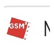 GSM Exchange logo